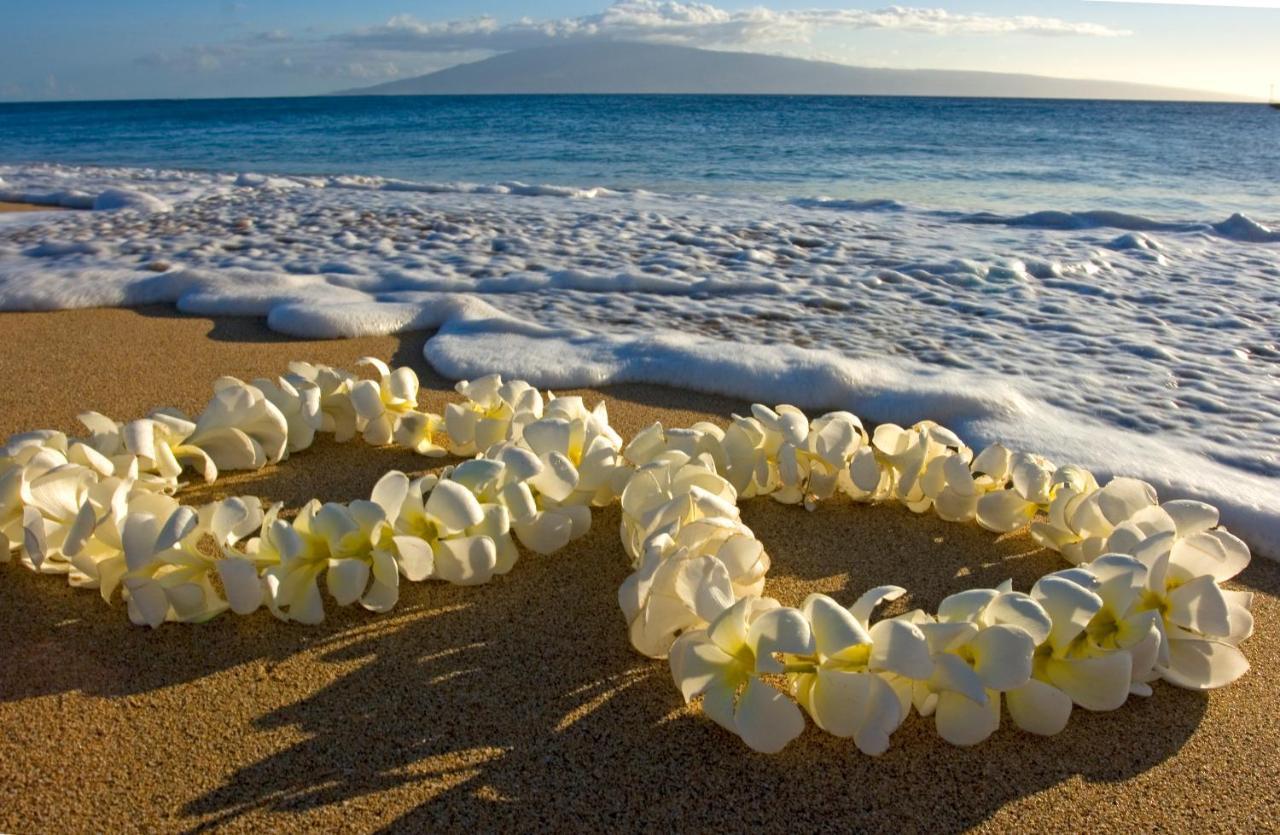Beautifully Upgraded Studio Close To Waikiki Beach Daire Honolulu Dış mekan fotoğraf